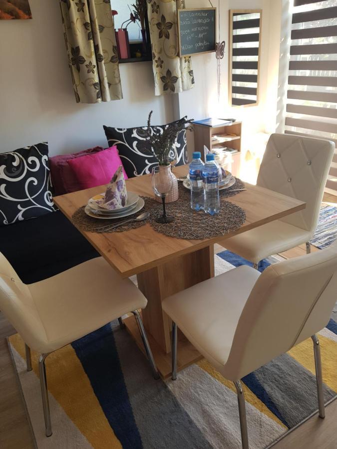 Apartament Lavender Jelenia Góra Eksteriør billede