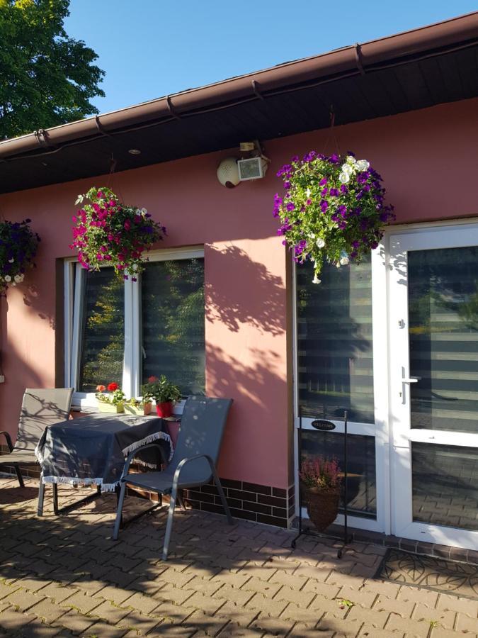 Apartament Lavender Jelenia Góra Eksteriør billede